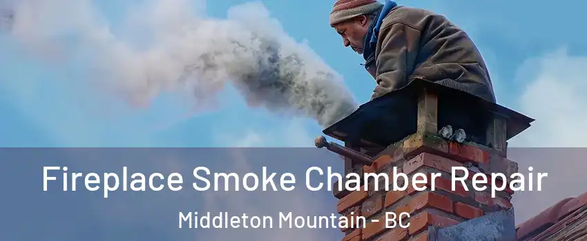  Fireplace Smoke Chamber Repair Middleton Mountain - BC