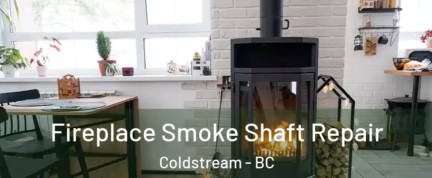  Fireplace Smoke Shaft Repair Coldstream - BC