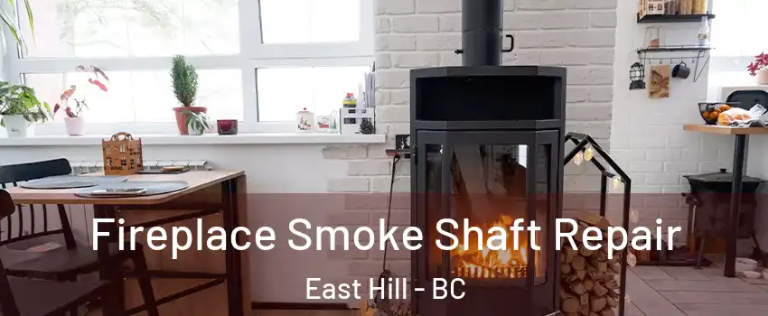  Fireplace Smoke Shaft Repair East Hill - BC