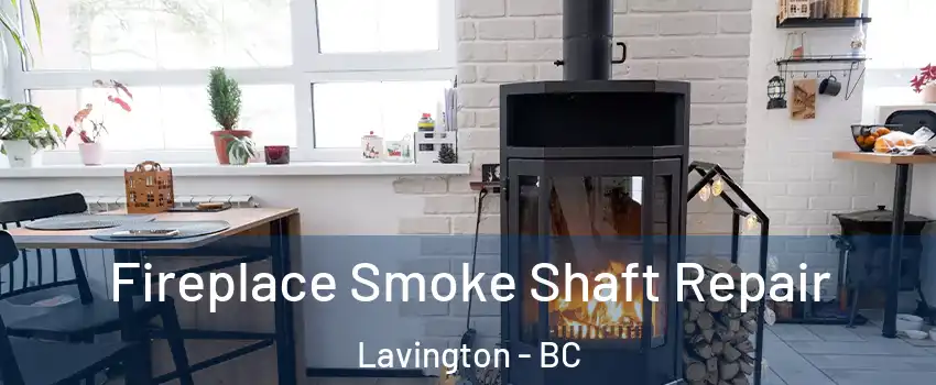  Fireplace Smoke Shaft Repair Lavington - BC