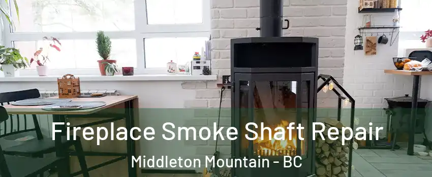  Fireplace Smoke Shaft Repair Middleton Mountain - BC