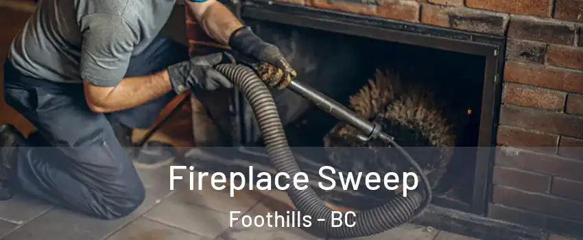  Fireplace Sweep Foothills - BC