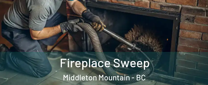  Fireplace Sweep Middleton Mountain - BC