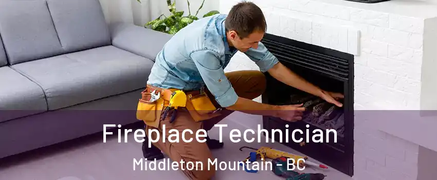 Fireplace Technician Middleton Mountain - BC