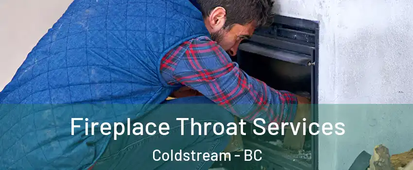  Fireplace Throat Services Coldstream - BC