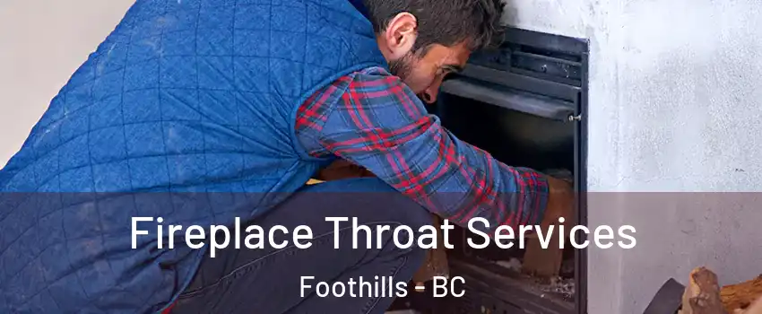  Fireplace Throat Services Foothills - BC