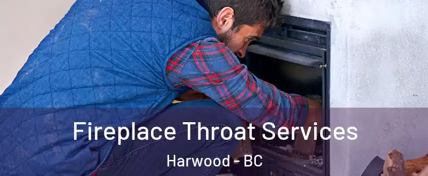  Fireplace Throat Services Harwood - BC