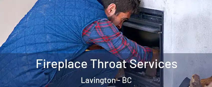  Fireplace Throat Services Lavington - BC