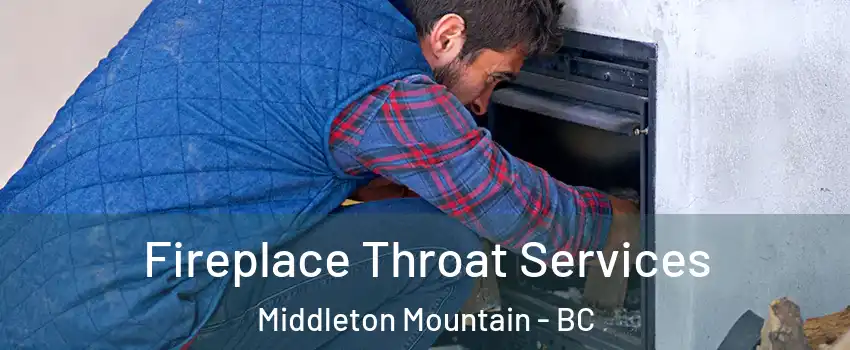  Fireplace Throat Services Middleton Mountain - BC