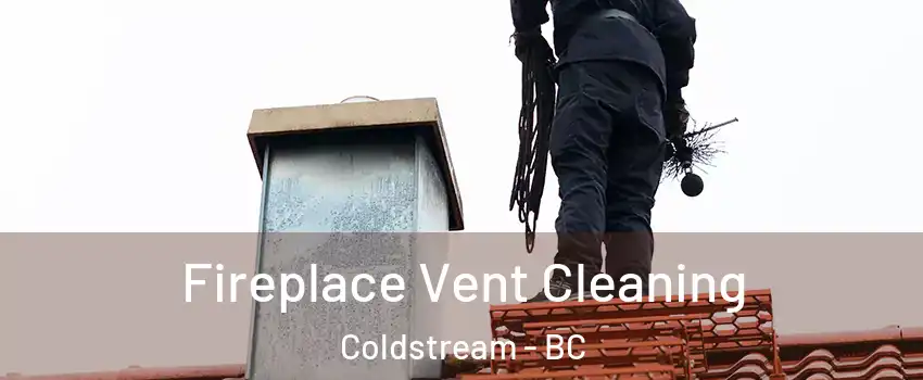  Fireplace Vent Cleaning Coldstream - BC