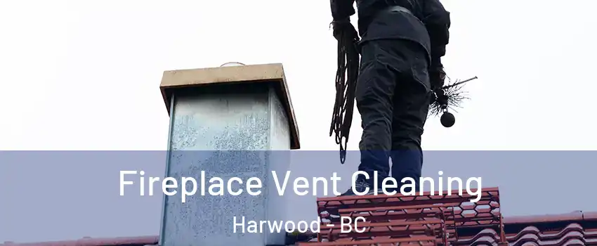  Fireplace Vent Cleaning Harwood - BC