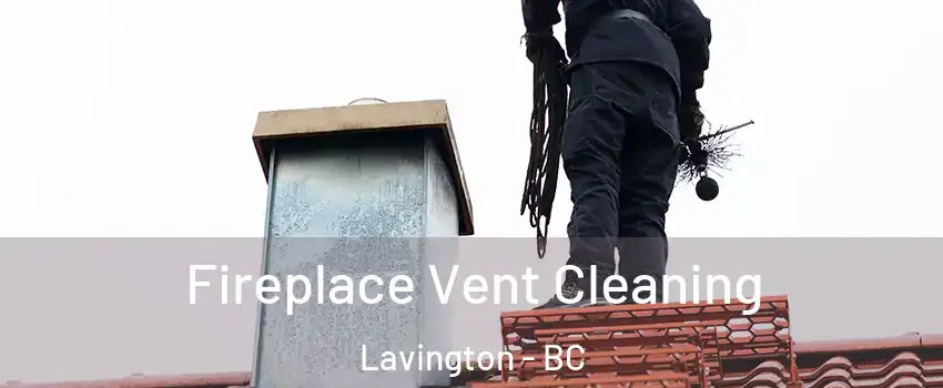  Fireplace Vent Cleaning Lavington - BC