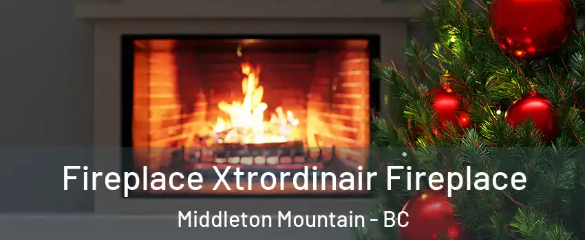 Fireplace Xtrordinair Fireplace Middleton Mountain - BC