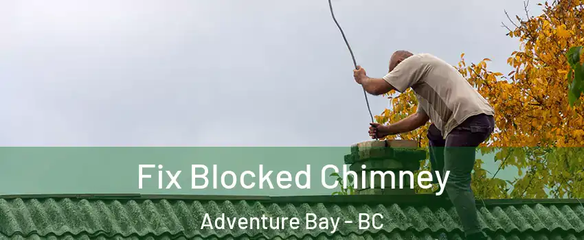  Fix Blocked Chimney Adventure Bay - BC