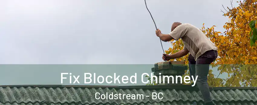  Fix Blocked Chimney Coldstream - BC