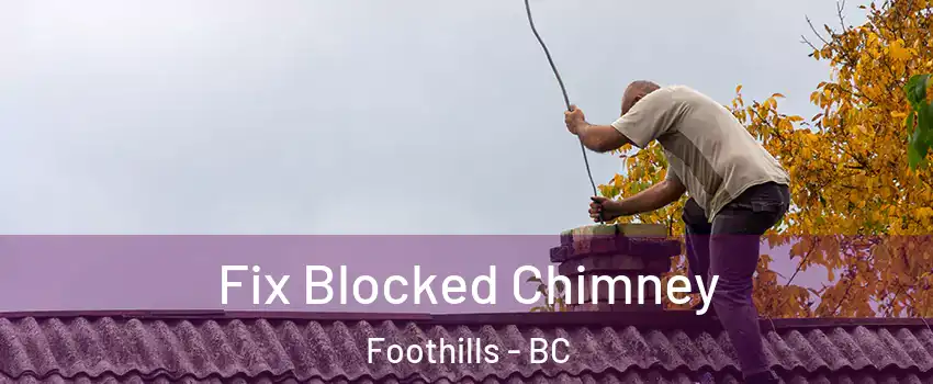  Fix Blocked Chimney Foothills - BC
