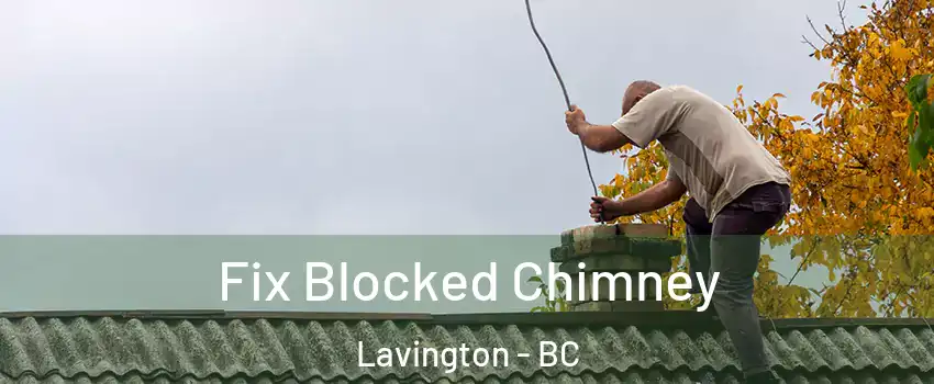  Fix Blocked Chimney Lavington - BC
