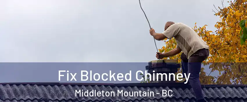  Fix Blocked Chimney Middleton Mountain - BC