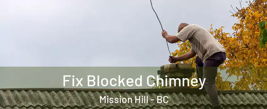  Fix Blocked Chimney Mission Hill - BC
