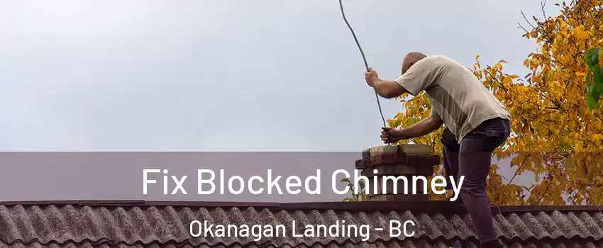  Fix Blocked Chimney Okanagan Landing - BC
