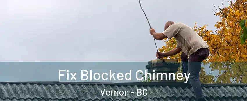  Fix Blocked Chimney Vernon - BC