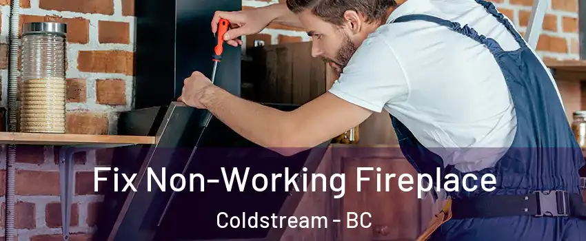  Fix Non-Working Fireplace Coldstream - BC