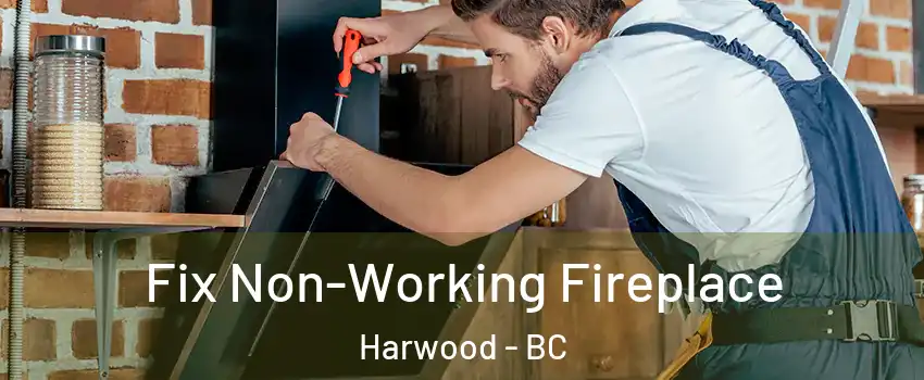  Fix Non-Working Fireplace Harwood - BC
