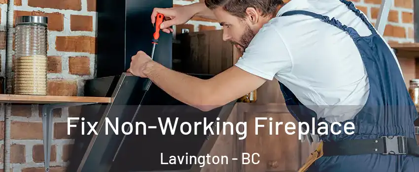  Fix Non-Working Fireplace Lavington - BC