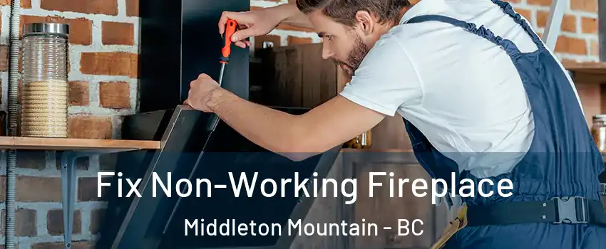  Fix Non-Working Fireplace Middleton Mountain - BC