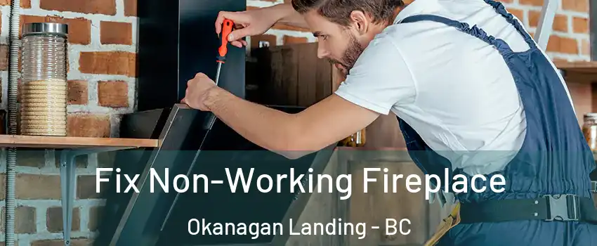  Fix Non-Working Fireplace Okanagan Landing - BC