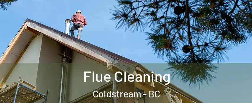  Flue Cleaning Coldstream - BC