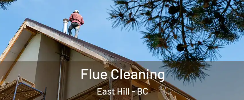  Flue Cleaning East Hill - BC