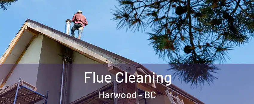  Flue Cleaning Harwood - BC