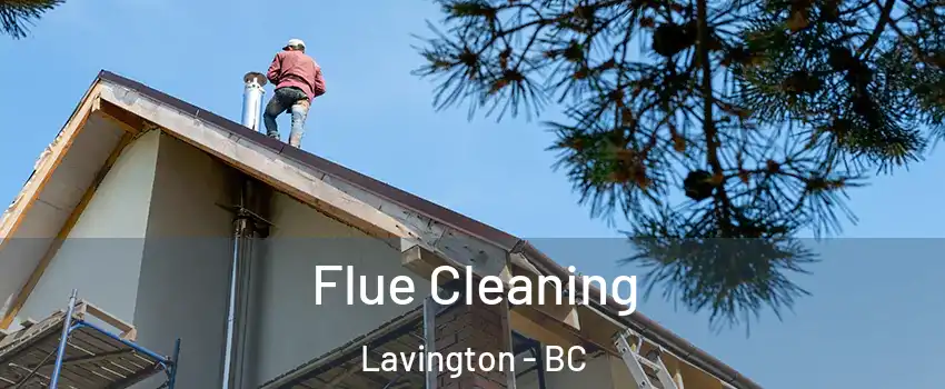  Flue Cleaning Lavington - BC