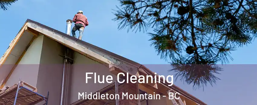  Flue Cleaning Middleton Mountain - BC