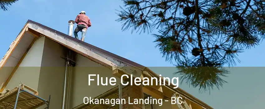 Flue Cleaning Okanagan Landing - BC