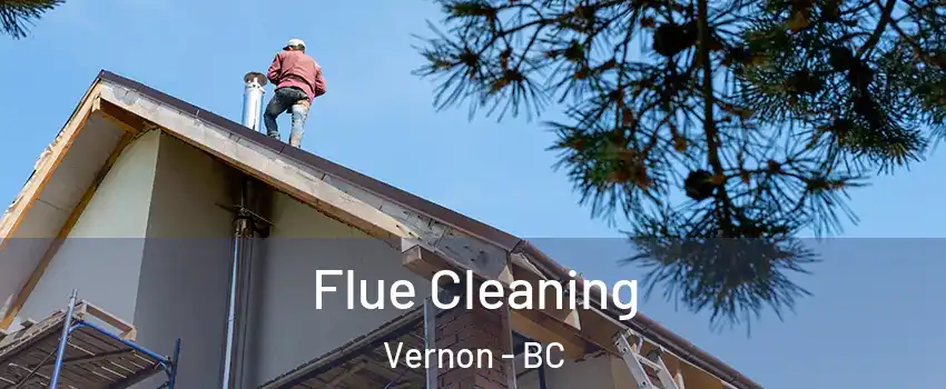  Flue Cleaning Vernon - BC