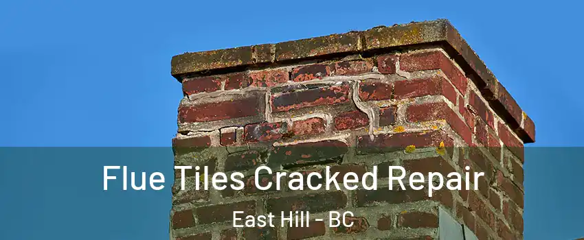  Flue Tiles Cracked Repair East Hill - BC