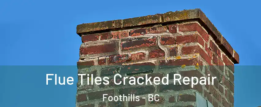  Flue Tiles Cracked Repair Foothills - BC