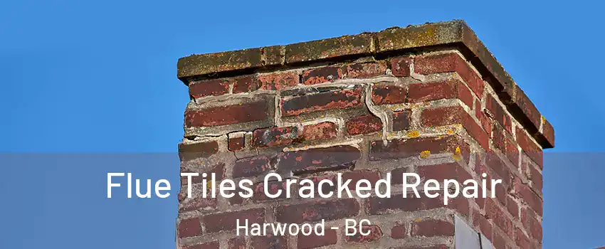  Flue Tiles Cracked Repair Harwood - BC
