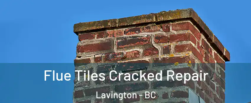  Flue Tiles Cracked Repair Lavington - BC