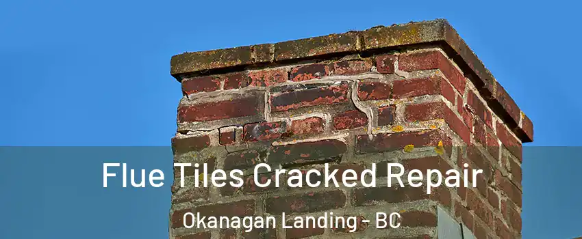  Flue Tiles Cracked Repair Okanagan Landing - BC