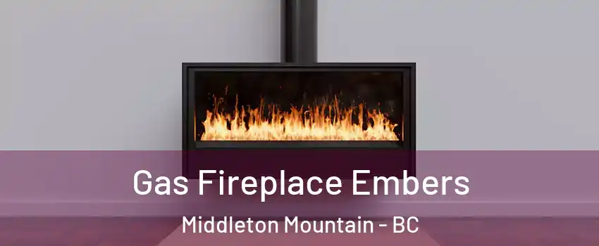  Gas Fireplace Embers Middleton Mountain - BC