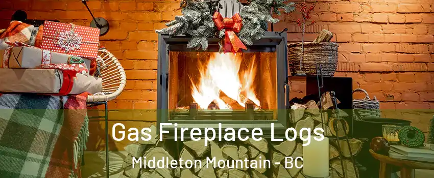  Gas Fireplace Logs Middleton Mountain - BC