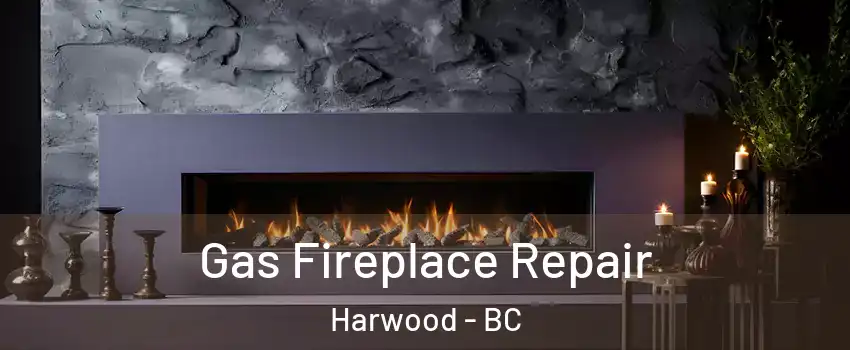  Gas Fireplace Repair Harwood - BC