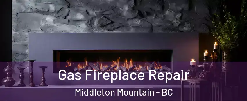  Gas Fireplace Repair Middleton Mountain - BC