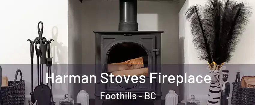  Harman Stoves Fireplace Foothills - BC