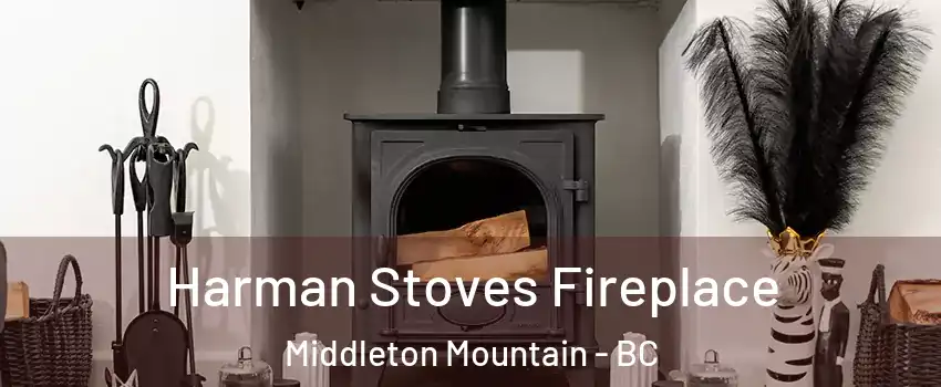  Harman Stoves Fireplace Middleton Mountain - BC