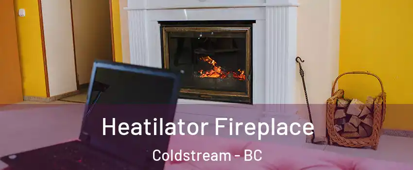  Heatilator Fireplace Coldstream - BC