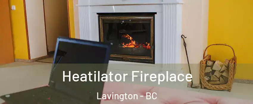  Heatilator Fireplace Lavington - BC